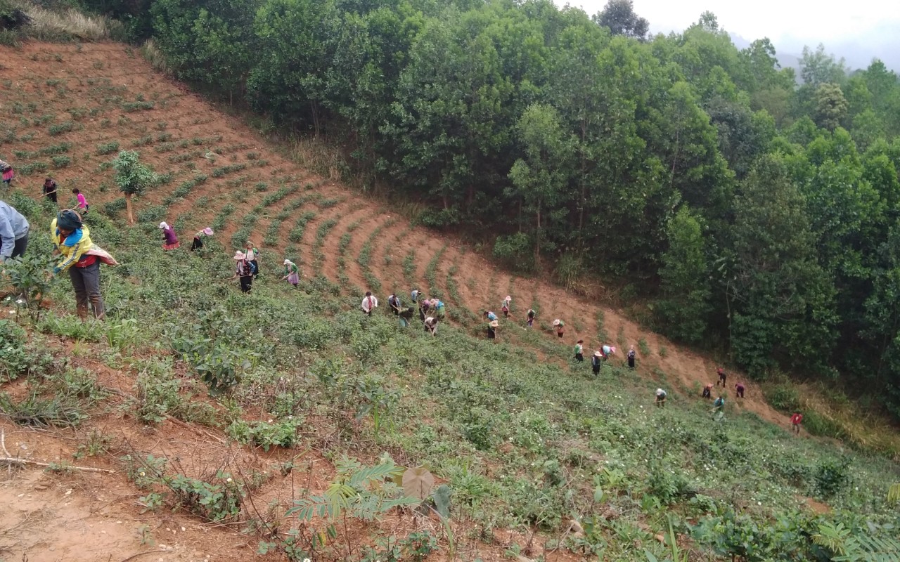 Product Info Image 1